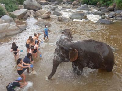 Photos de nos clients | Chiang Mai Trekking | Le meilleur trekking à Chiang Mai avec Piroon Nantaya